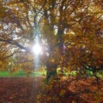 Autumn Walks in Barton 🍁🍂
